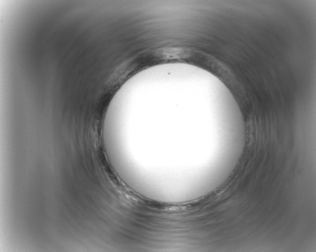 X0000066500422200603170955