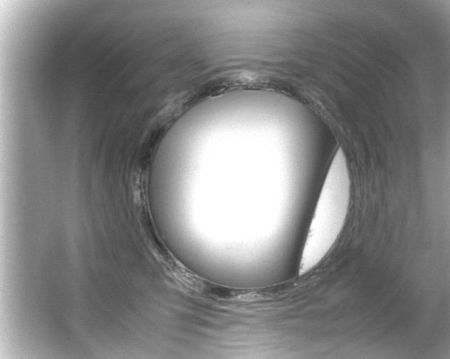 X0000066500423200603170955