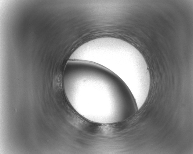 X0000066500425200603170955