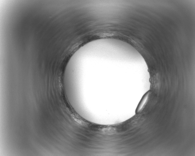 X0000066500426200603170955
