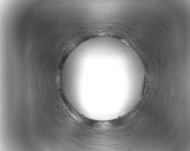 X0000066500427200603170955