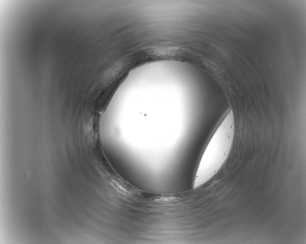 X0000066500428200603170954