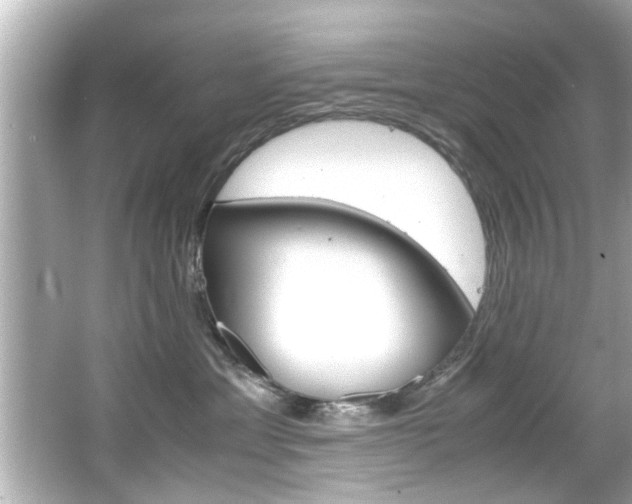X0000066500429200603170954