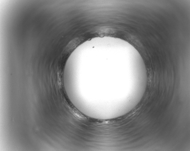 X0000066500430200603170954