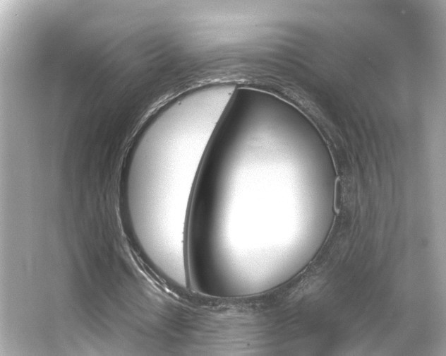 X0000066500434200603170954