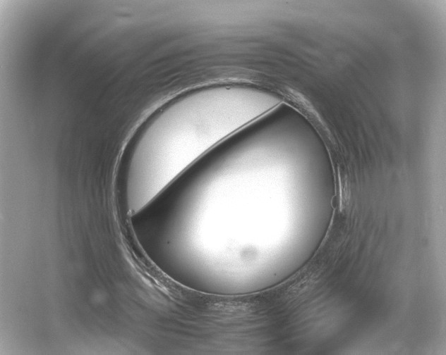 X0000066500435200603170954