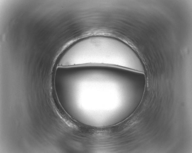 X0000066500438200603170954