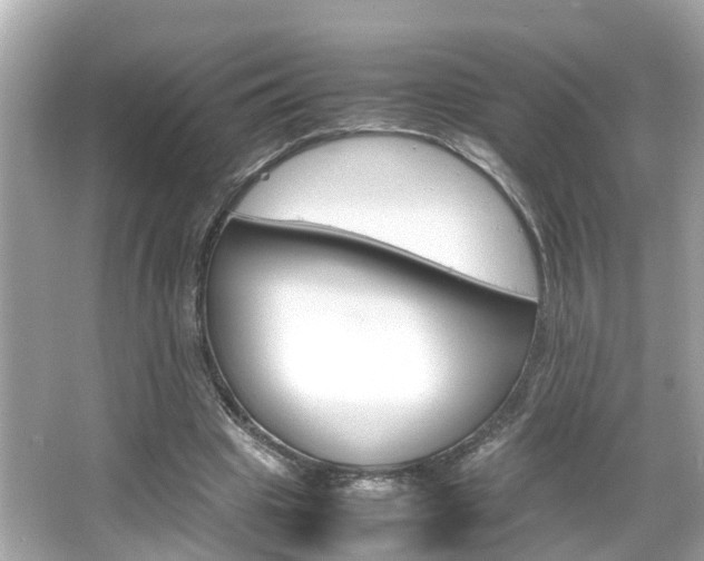 X0000066500441200603170954