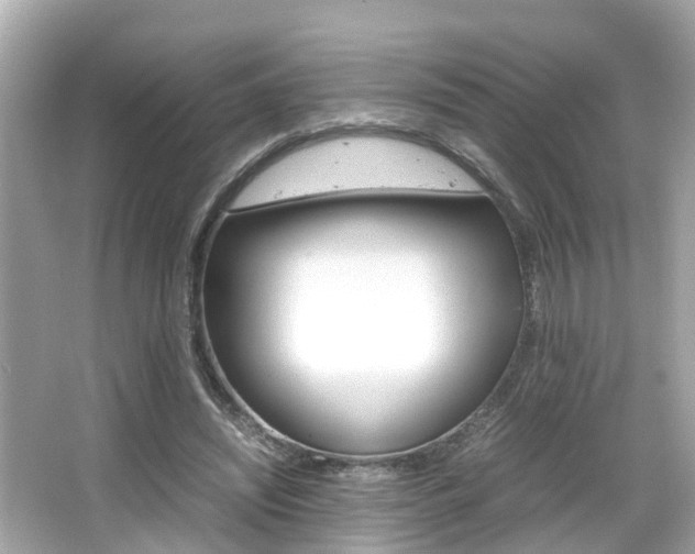 X0000066500444200603170954