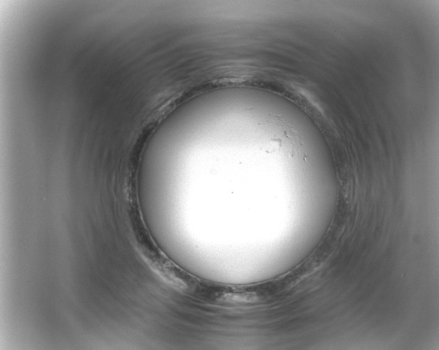 X0000066500455200603170954