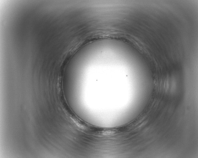 X0000066500462200603170954
