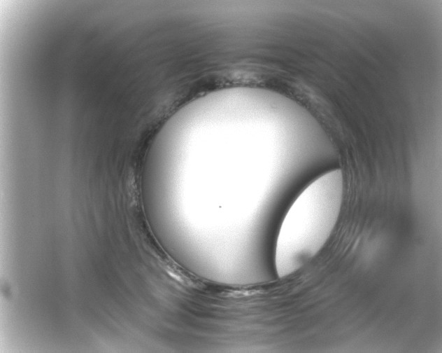 X0000066500465200603170954