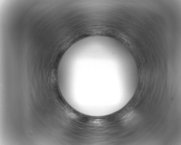 X0000066500467200603170954