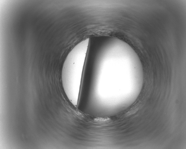 X0000066500480200603170954