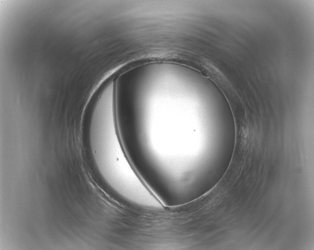 X0000066500484200603170954