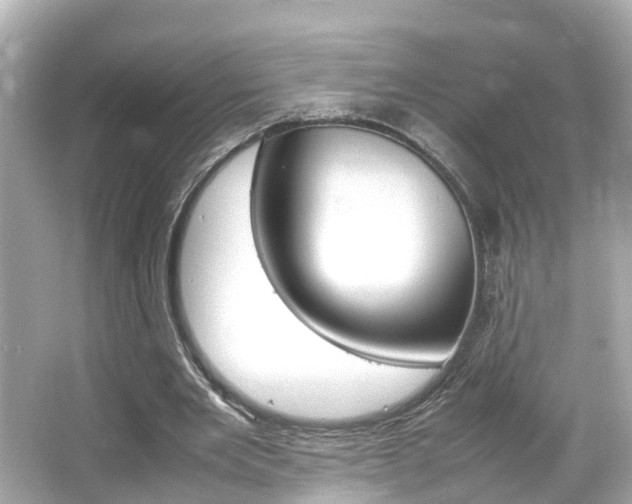 X0000066500485200603170954