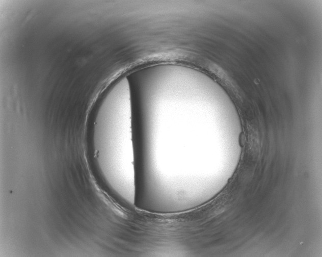 X0000066500486200603170954