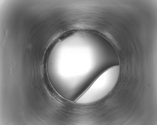 X0000066500488200603170953