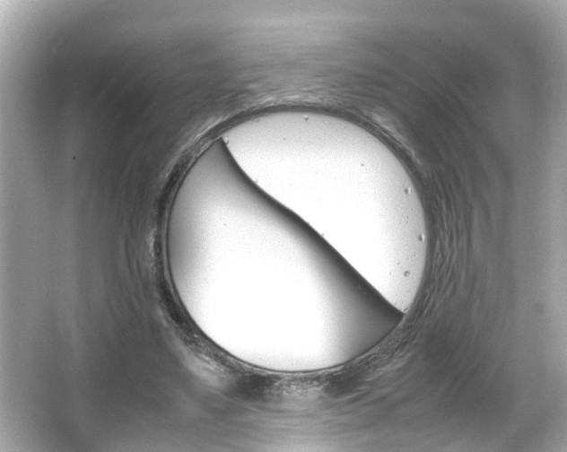 X0000066500491200603170953