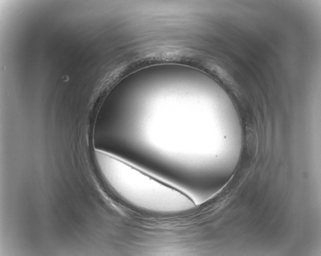 X0000066500493200603170953