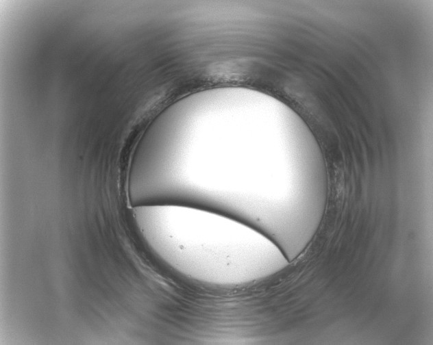 X0000066500494200603170953