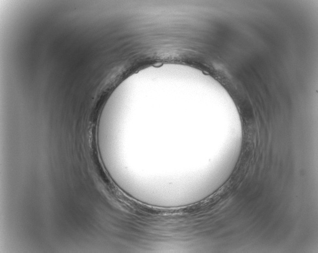 X0000066500495200603170953