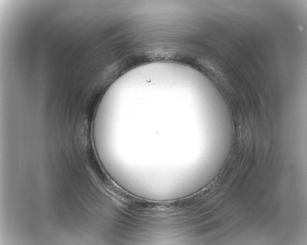 X0000066500498200603170953