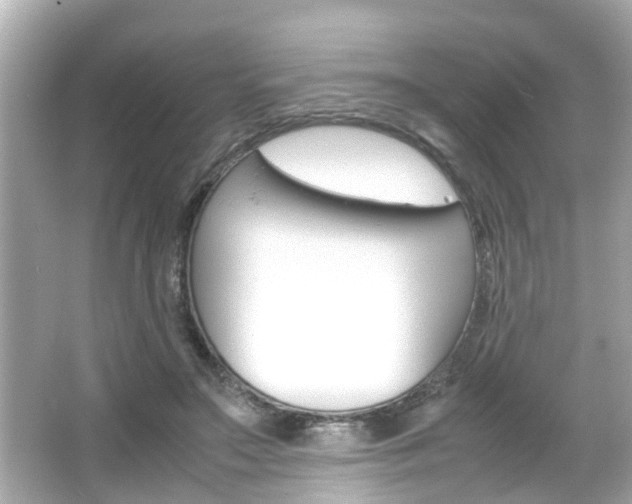 X0000066500499200603170953