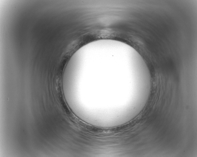 X0000066500503200603170953