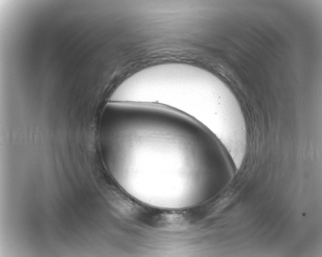 X0000066500509200603170953