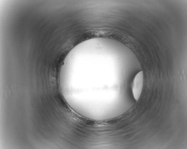 X0000066500510200603170953