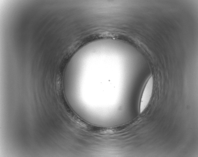 X0000066500513200603170953