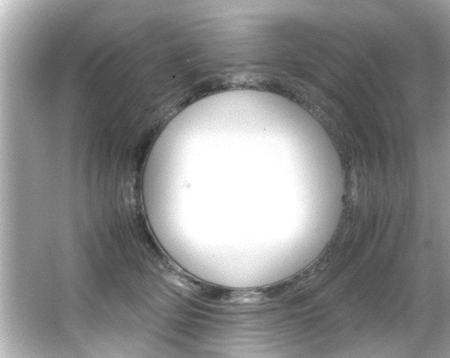 X0000066500514200603170953