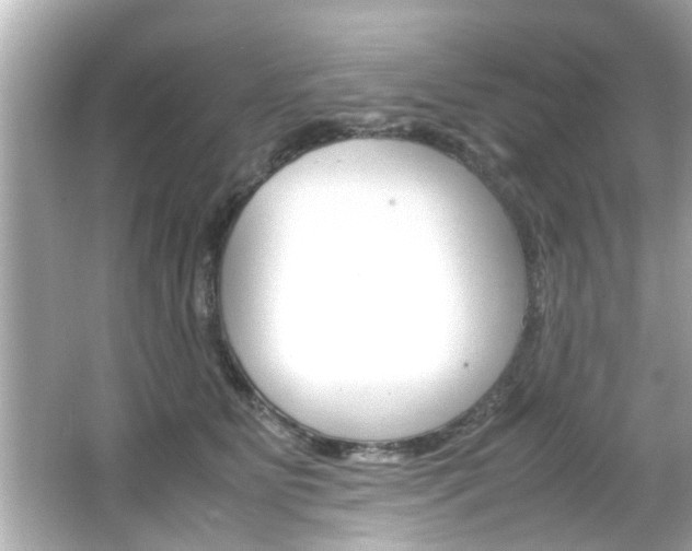 X0000066500515200603170953