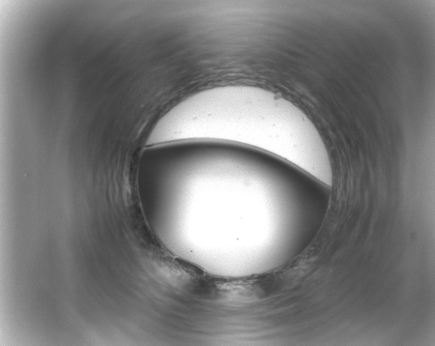 X0000066500516200603170953