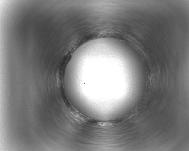 X0000066500520200603170953