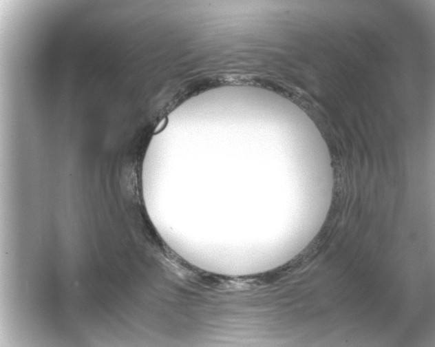 X0000066500523200603170953