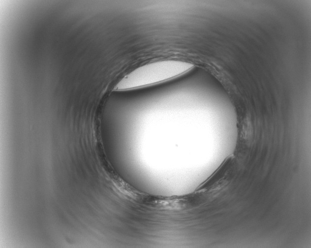 X0000066500524200603170953
