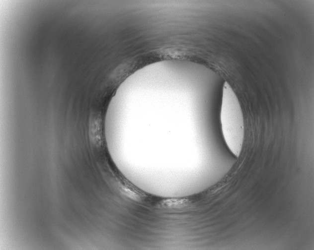 X0000066500526200603170953