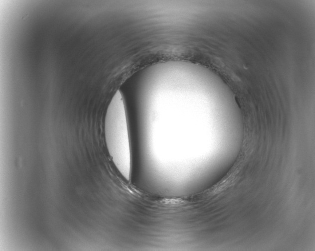 X0000066500528200603170953