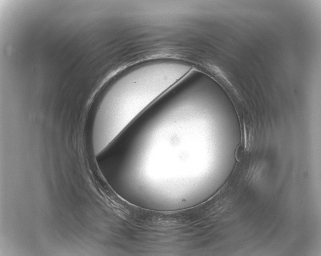 X0000066500531200603170952