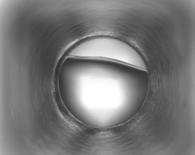 X0000066500536200603170952