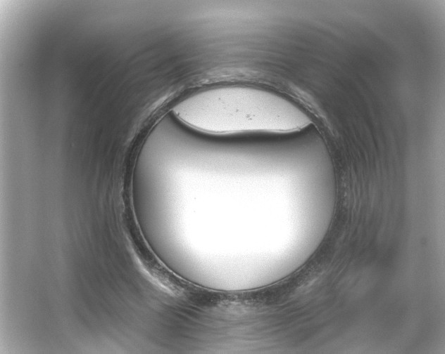 X0000066500538200603170952