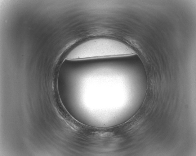 X0000066500539200603170952