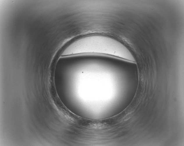 X0000066500540200603170952