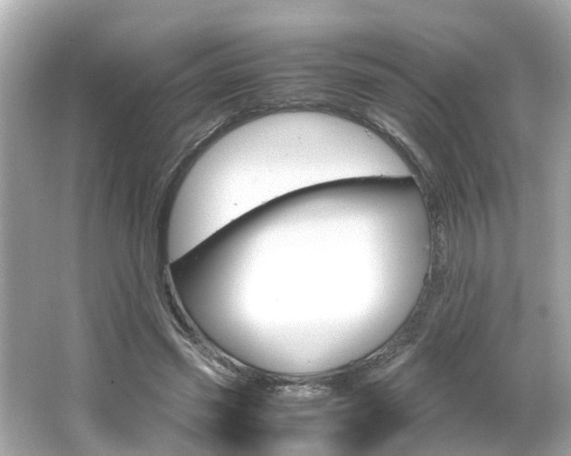 X0000066500541200603170952