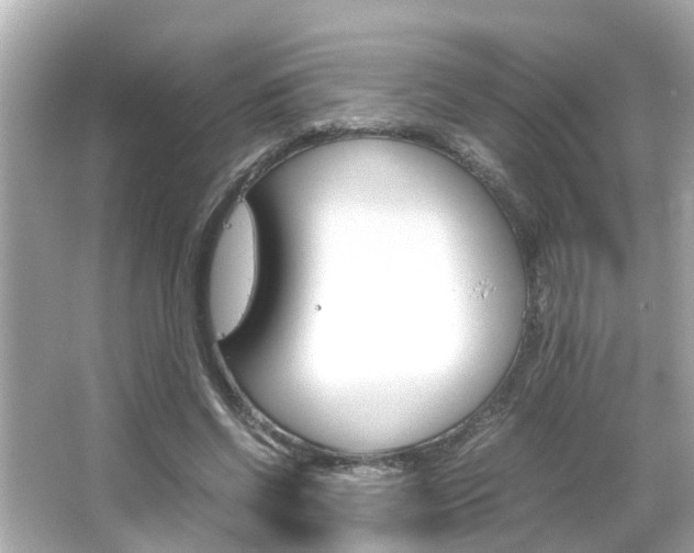 X0000066500542200603170952