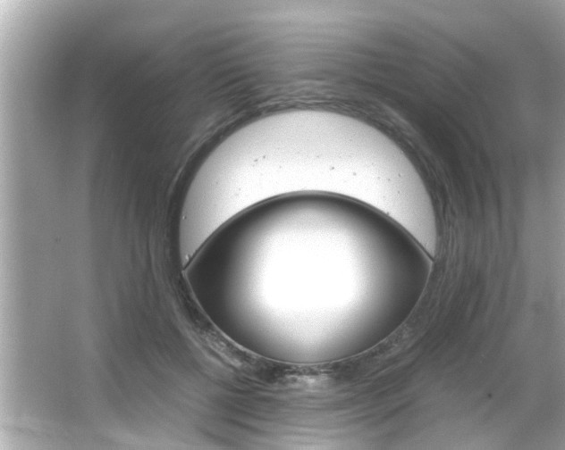 X0000066500552200603170952