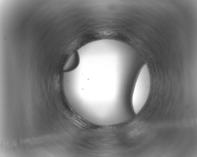 X0000066500563200603170953