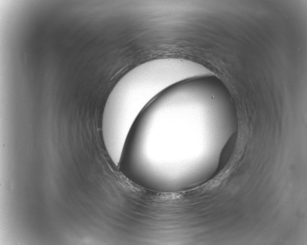X0000066500576200603170953